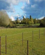 Horse-field-with-amazing-house-in-the-back-ground